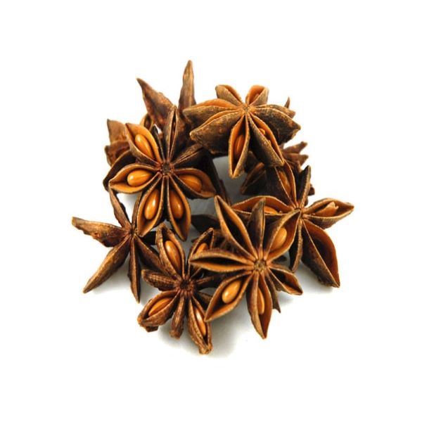 Star Seeds-1x1kg03